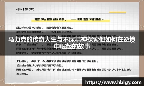 DB旗舰官网