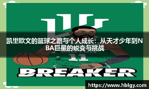 DB旗舰官网