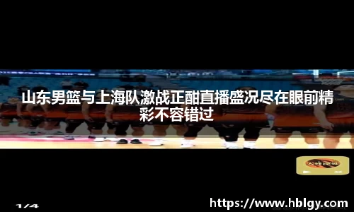 DB旗舰官网
