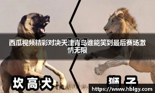 DB旗舰APP
