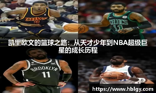 DB旗舰官网